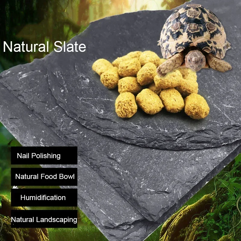 Aquarium Fish Feeder - Натуральный сланцевый аквариум для домашних животных,