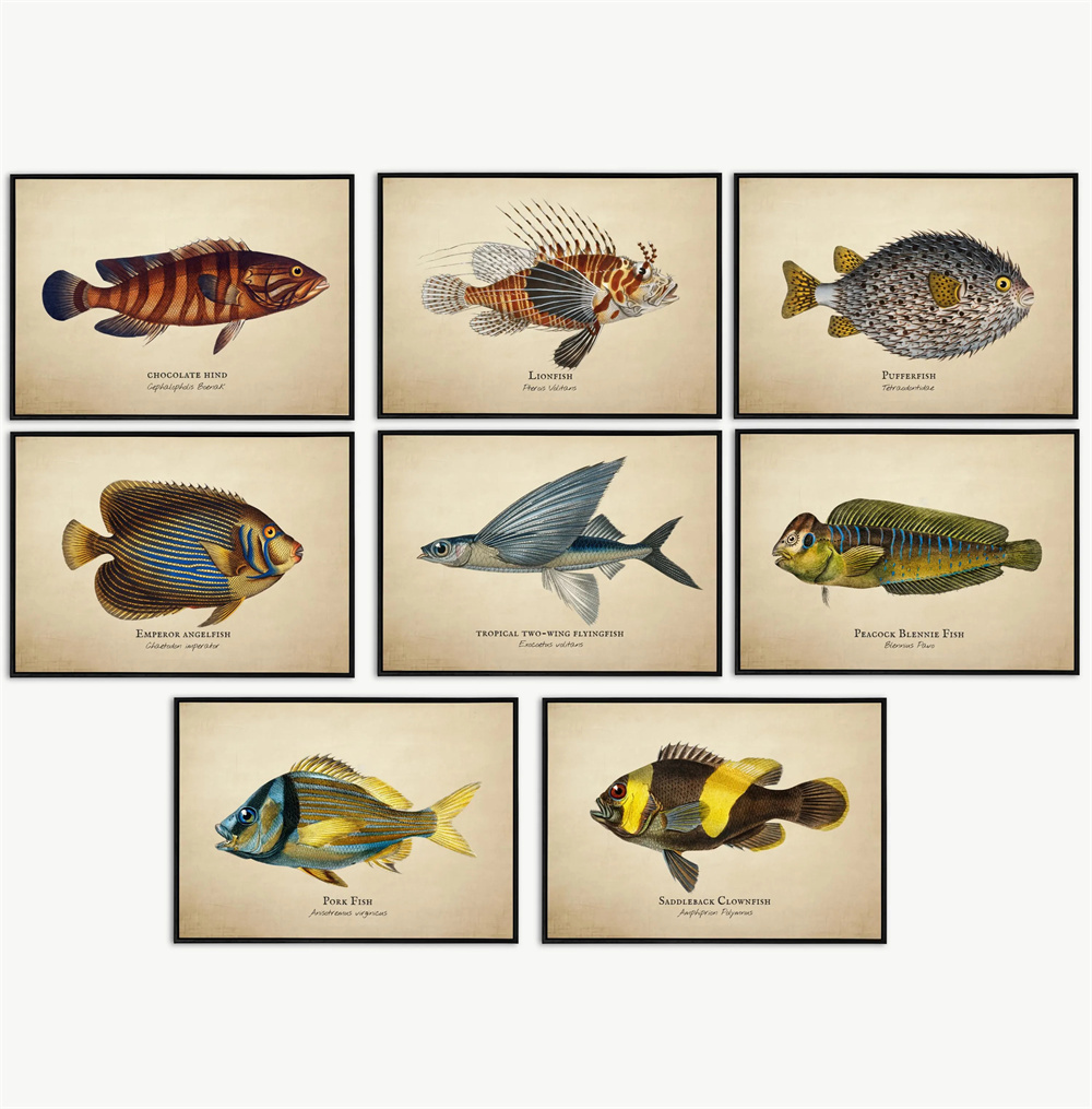 Fish In Aquarium Picture - Винтажные картины: Тропические рыбы, медузы, ракушки,