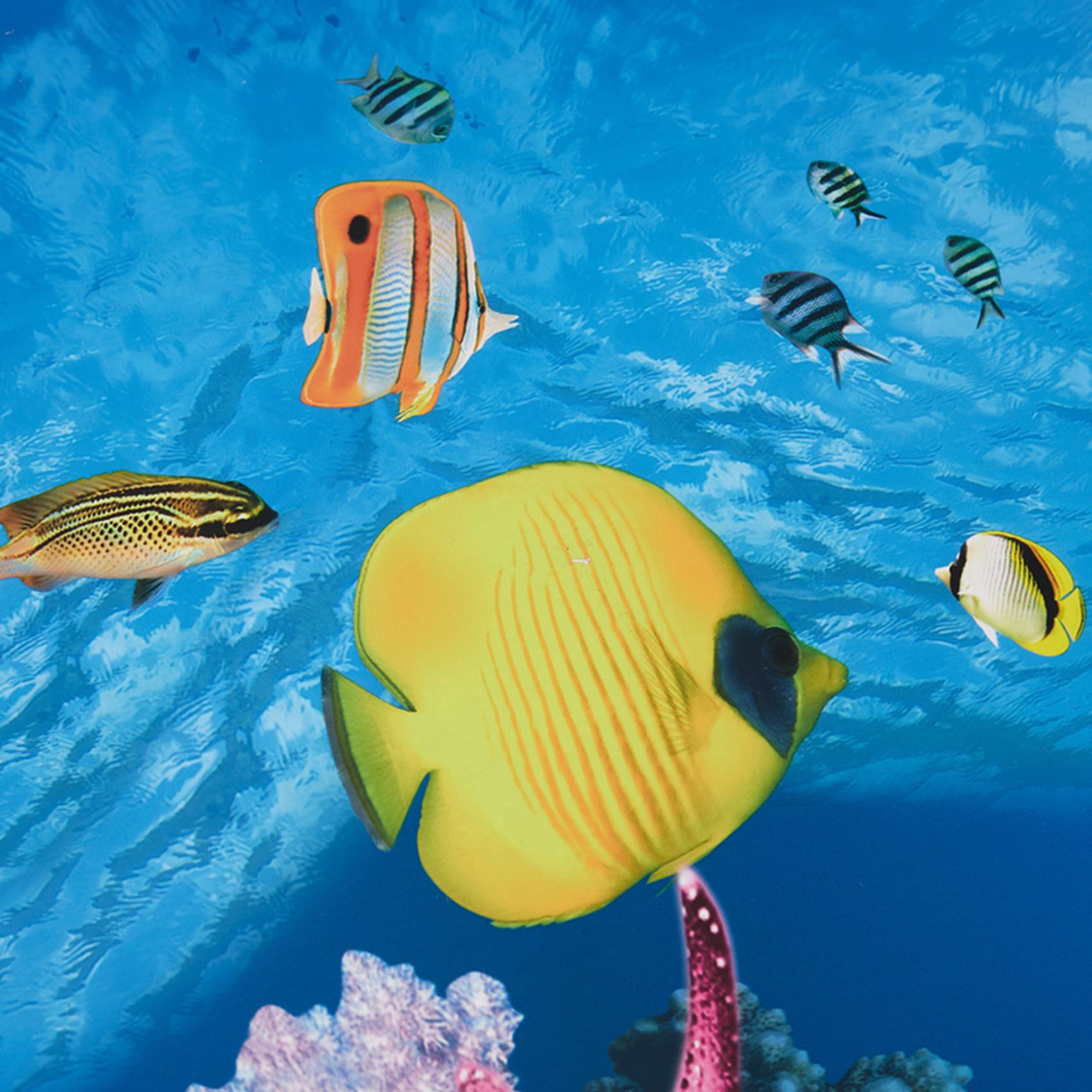 Fish In Aquarium Picture - BAAU аквариум фон бумага HD картина