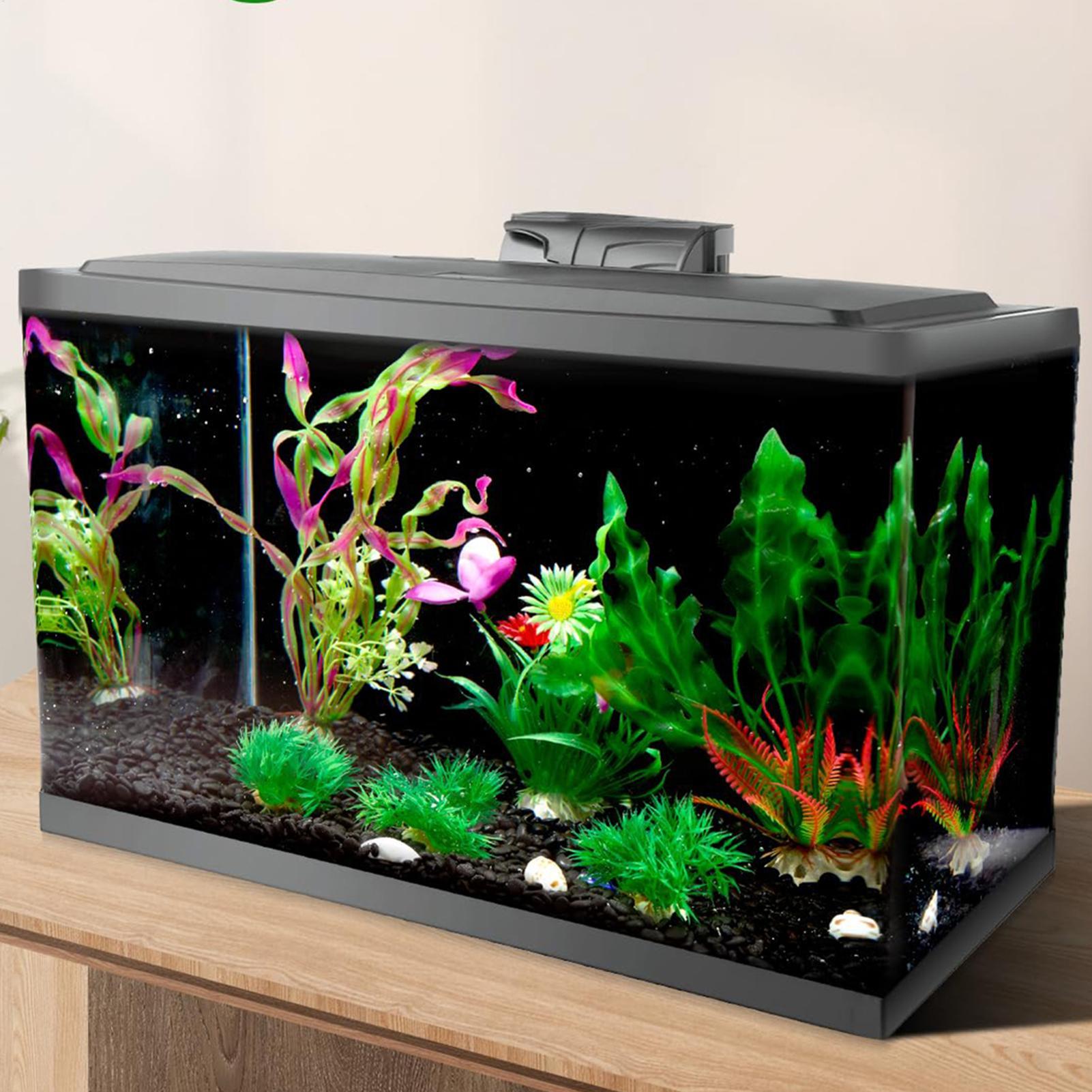 Fish In Aquarium Picture - Черный фон для аквариума, обои для