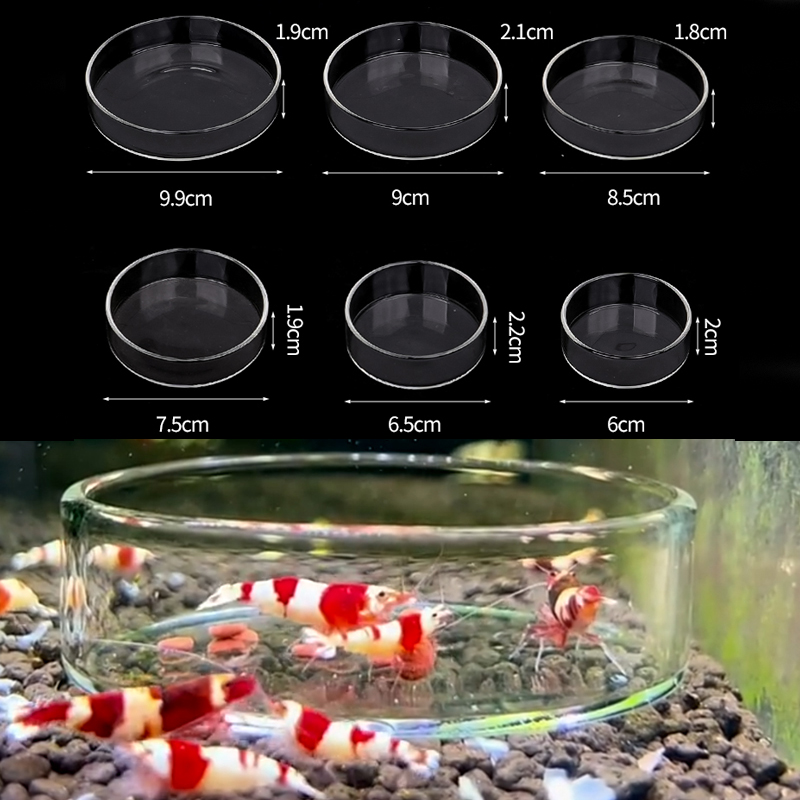 Aquarium Fish Feeder - Блюдо для кормления креветок, высокопрозрачное стекло,