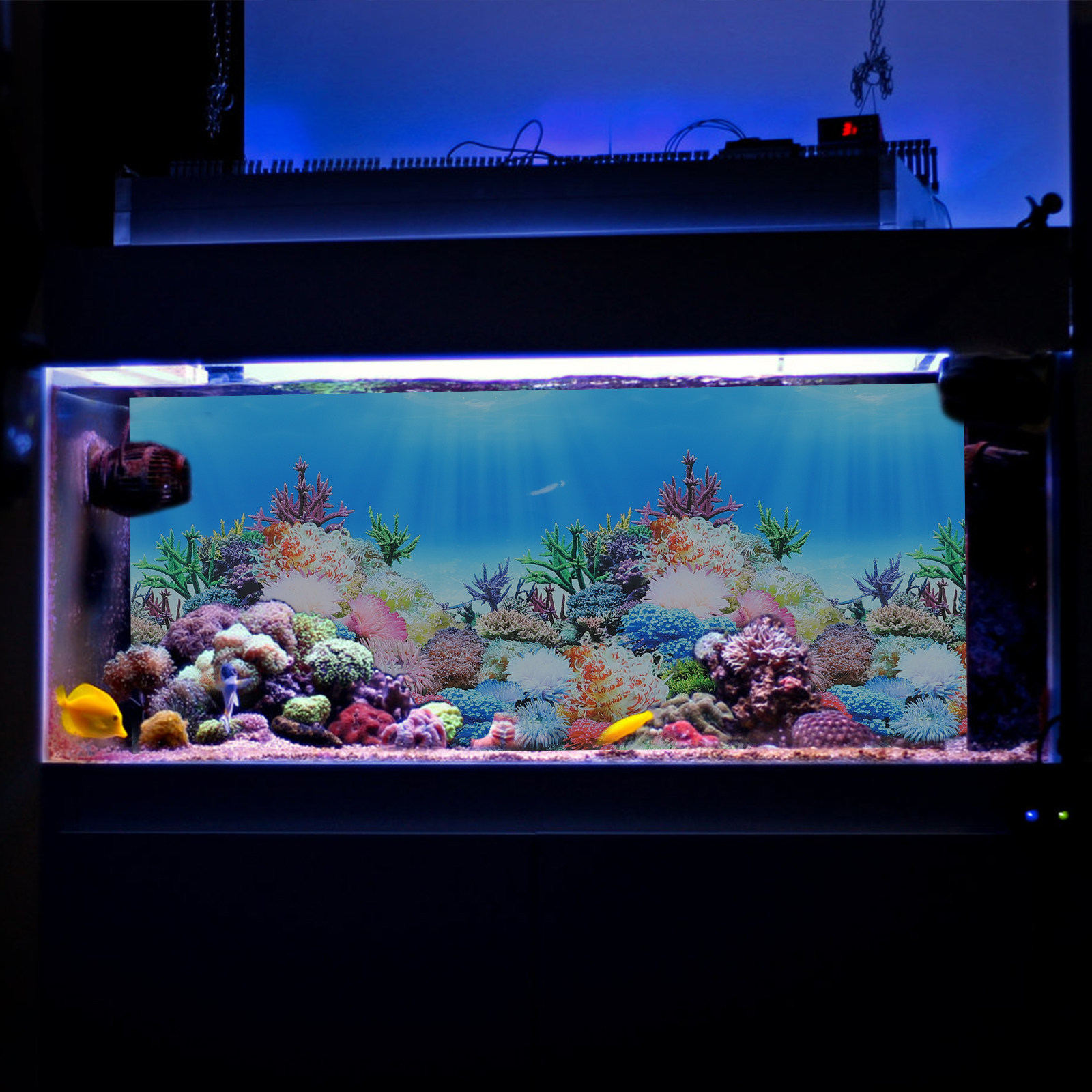 Fish In Aquarium Picture - Декоративная самоклеящаяся пленка для аквариума: фон
