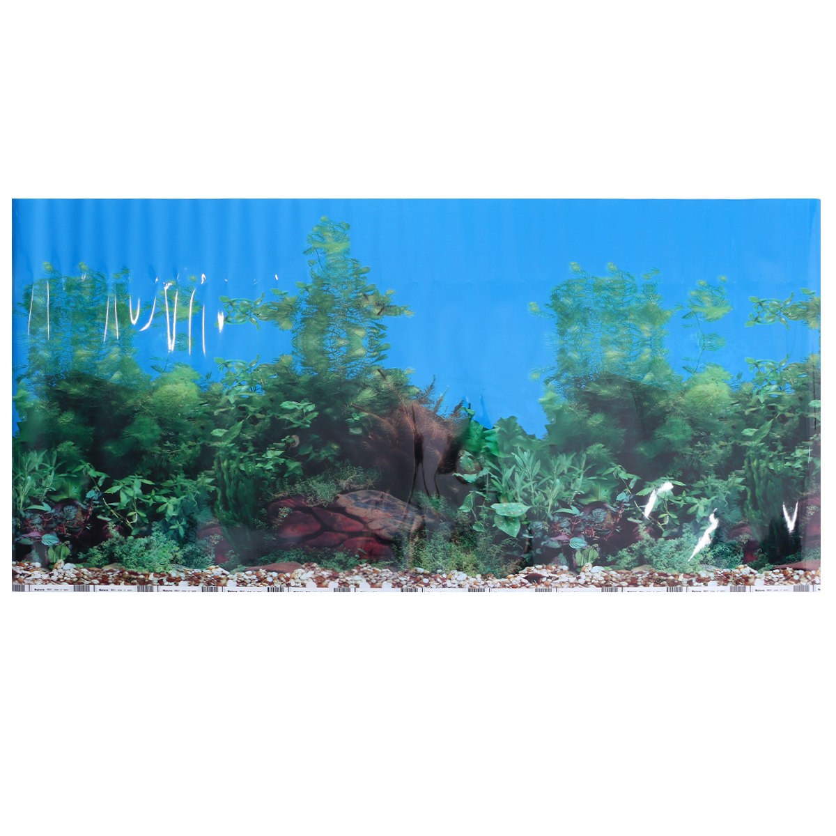 3D-обои для аквариума: фон-пос – обзор и цена Fish In Aquarium Picture