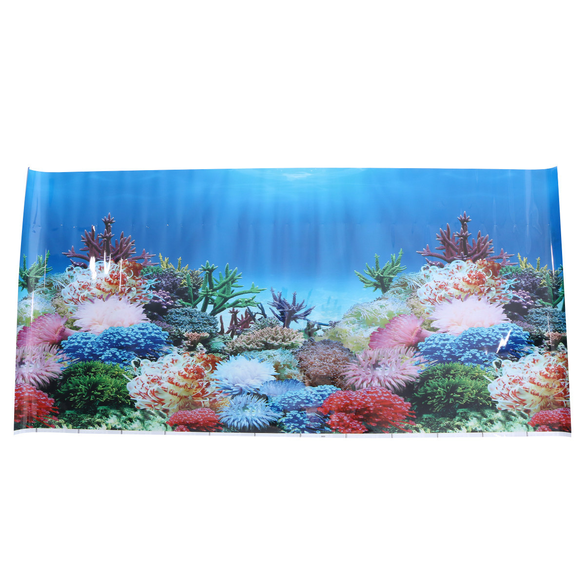 3D-обои для аквариума: фон-пос – обзор и цена Fish In Aquarium Picture