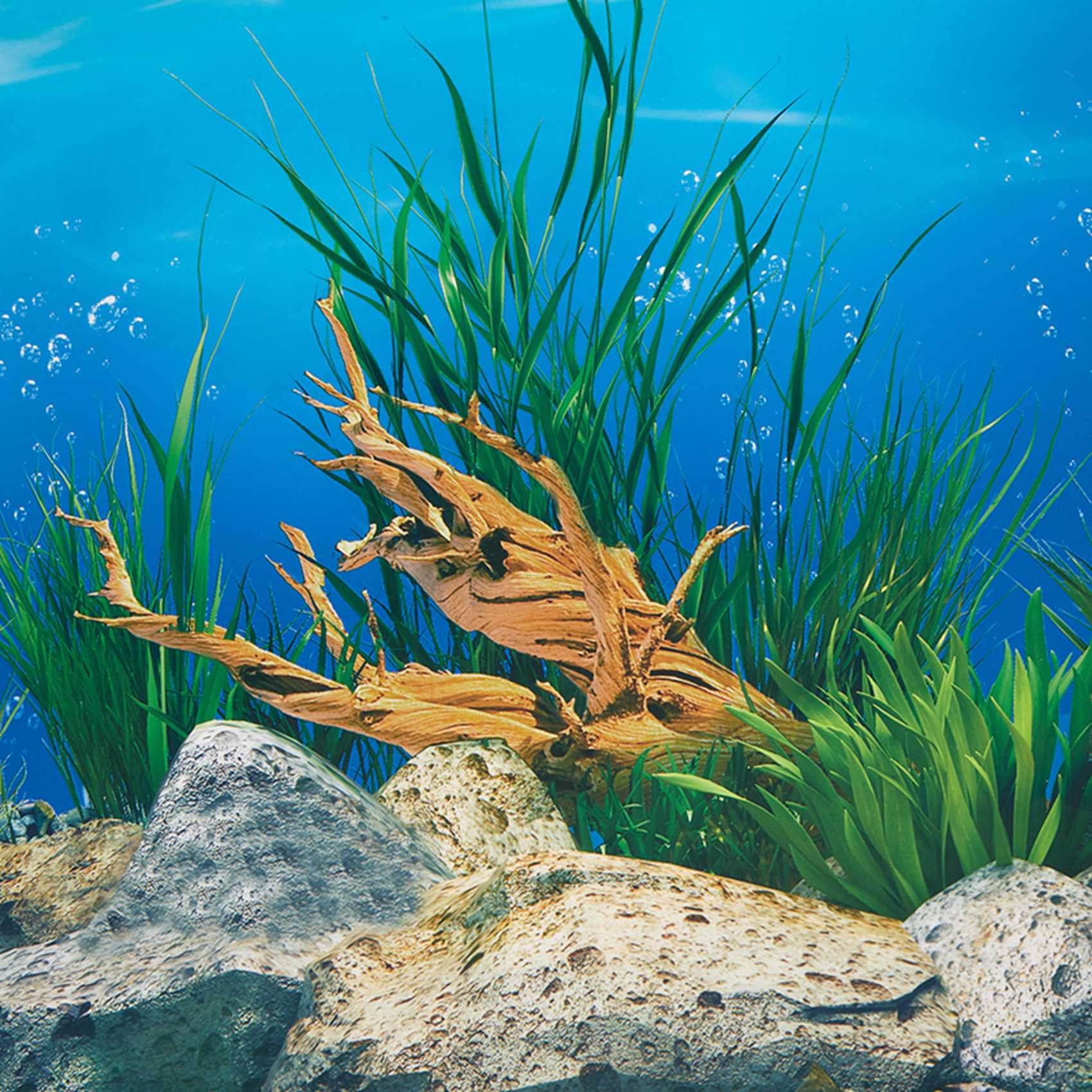 Бумага для аквариумного фона A – обзор и цена Fish In Aquarium Picture