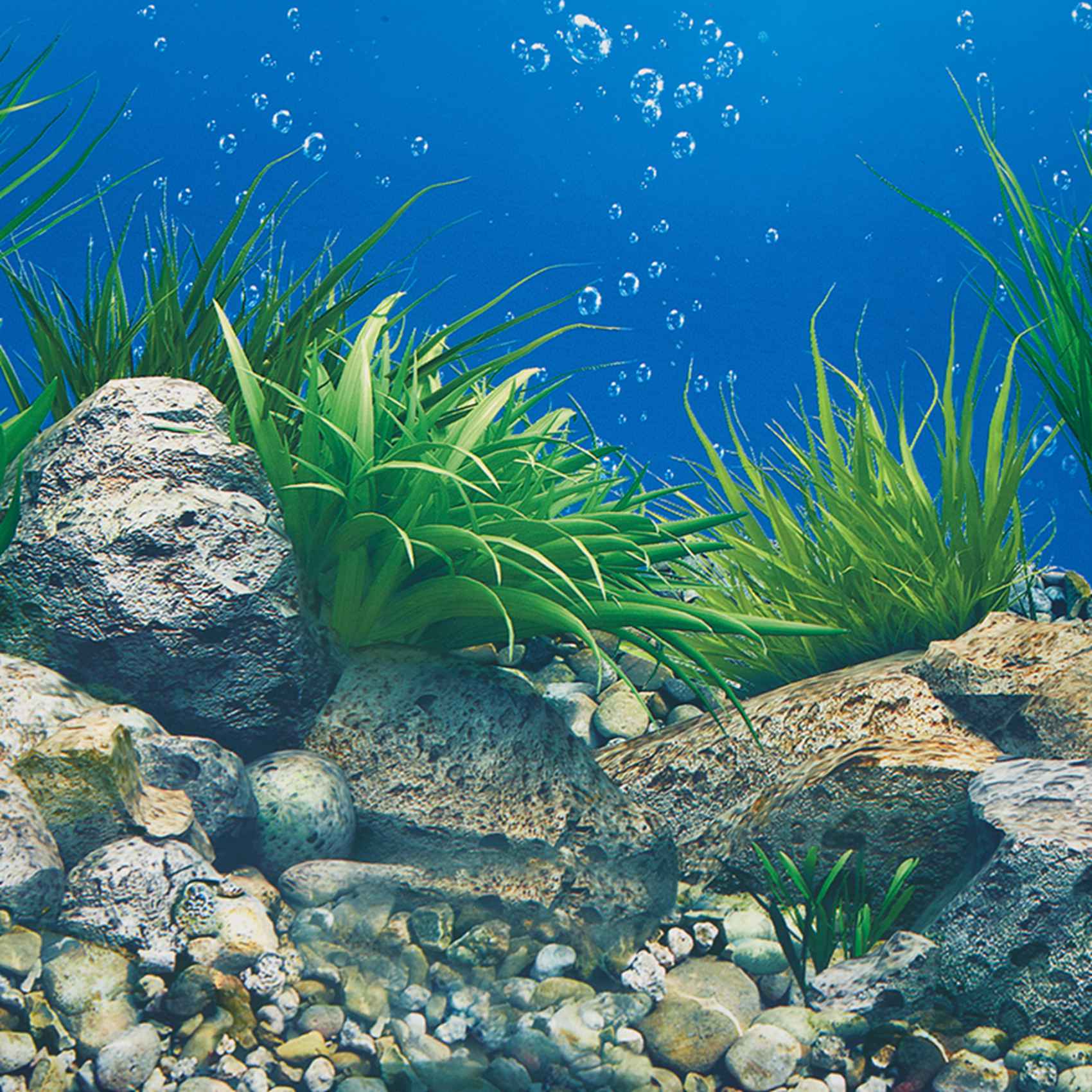 Бумага для аквариумного фона A – обзор и цена Fish In Aquarium Picture