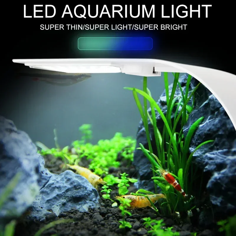 Ультратонкий светодиодный свет – обзор и цена Fish In Aquarium Picture
