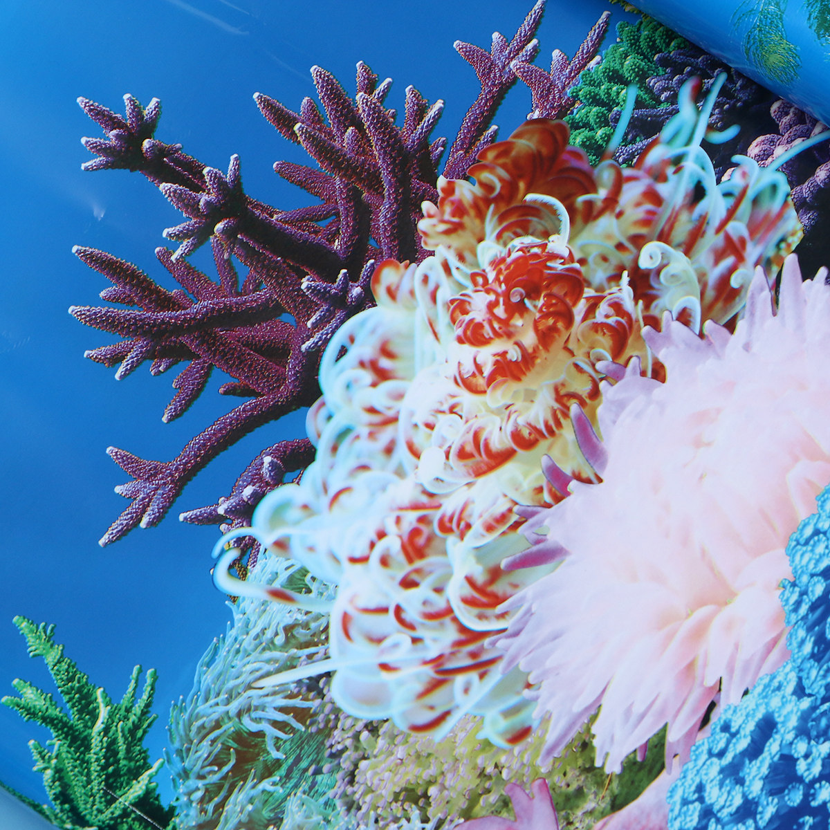 3D-обои для аквариумов: декора – обзор и цена Fish In Aquarium Picture