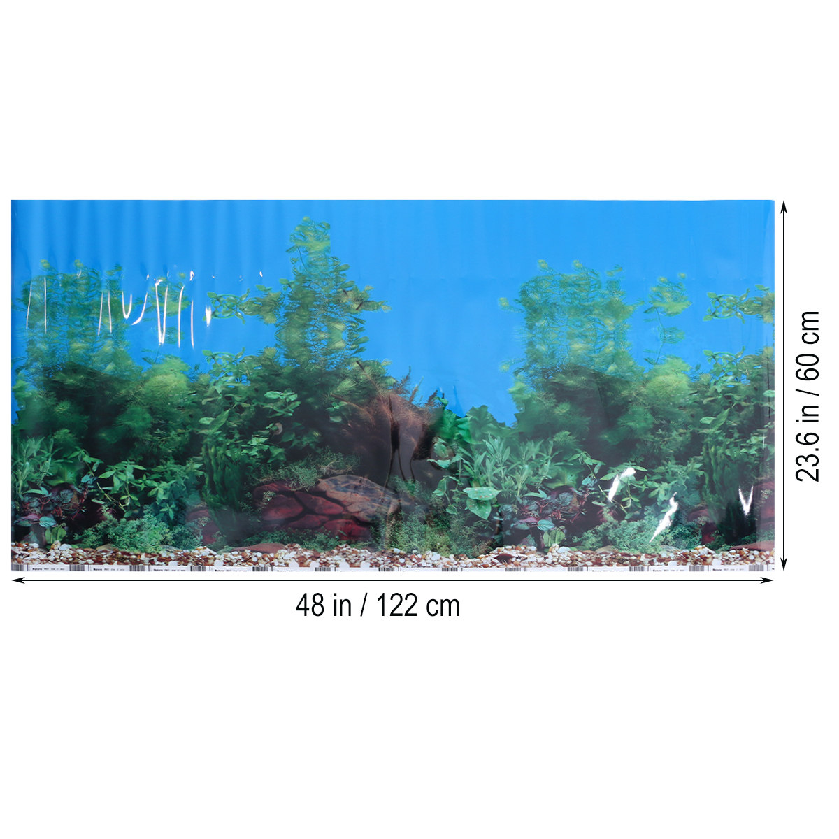 3D-обои для аквариумов: декора – обзор и цена Fish In Aquarium Picture