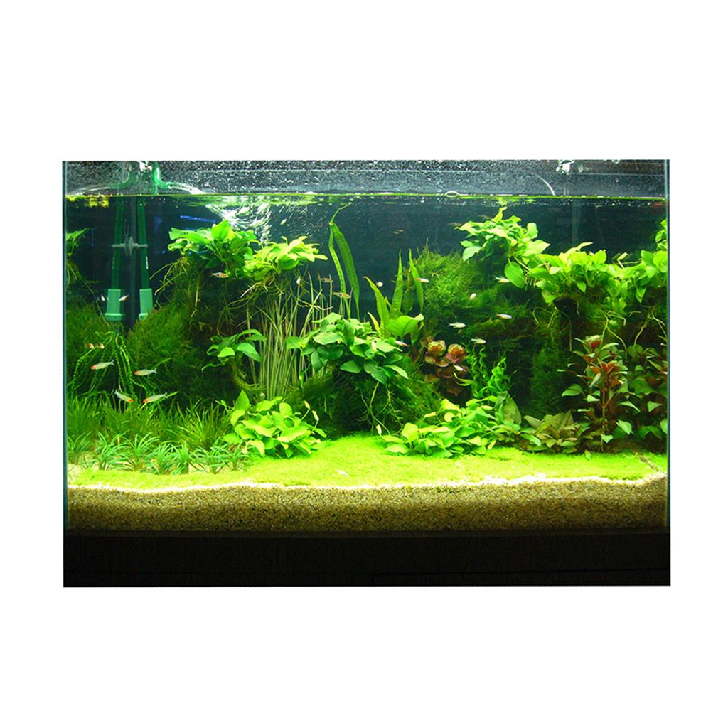 3D-наклейка на фон аквариума,  – обзор и цена Fish In Aquarium Picture