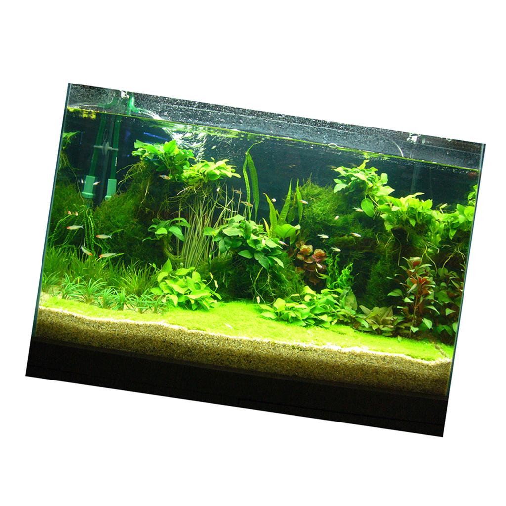 3D-наклейка на фон аквариума,  – обзор и цена Fish In Aquarium Picture