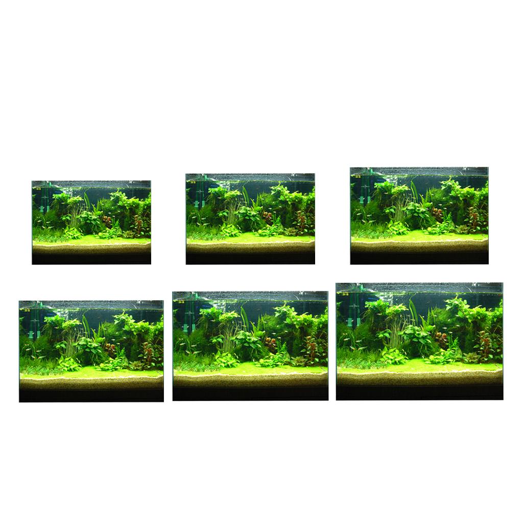 3D-наклейка на фон аквариума,  – обзор и цена Fish In Aquarium Picture