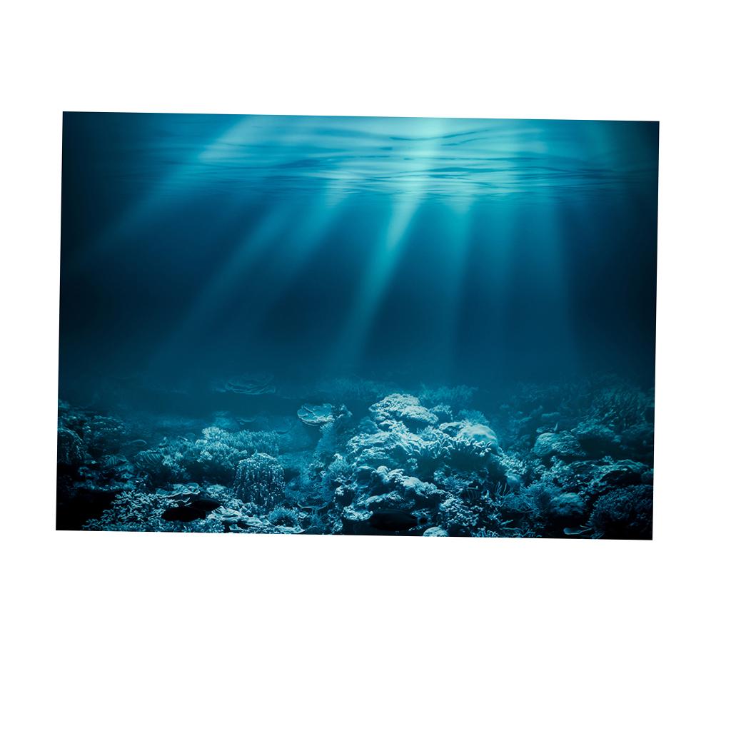 Клеящаяся наклейка на аквариум – обзор и цена Fish In Aquarium Picture
