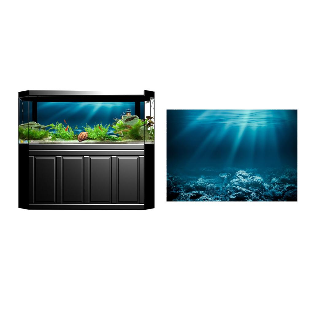 Клеящаяся наклейка на аквариум – обзор и цена Fish In Aquarium Picture