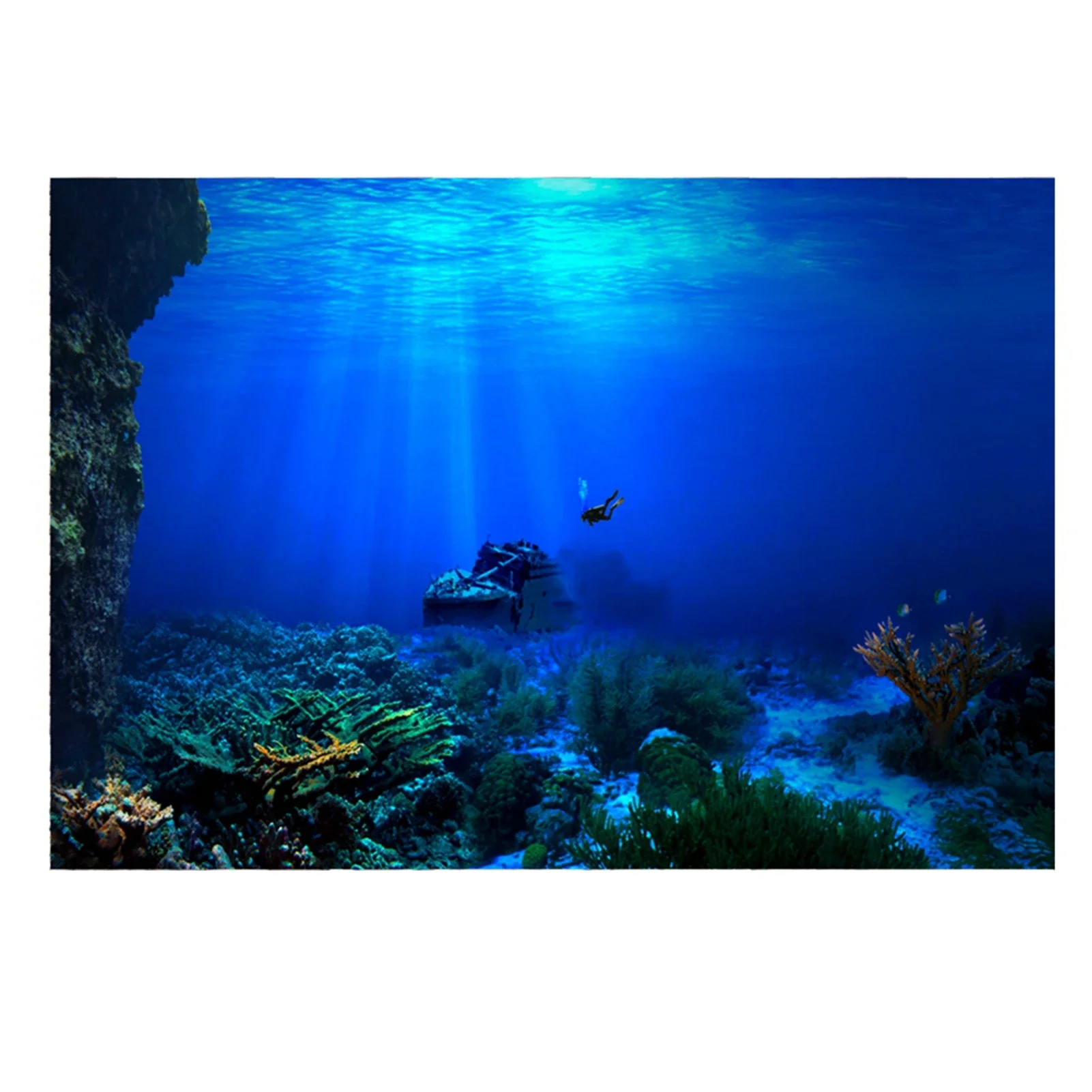 Тропический аквариум, задний п – обзор и цена Fish In Aquarium Picture