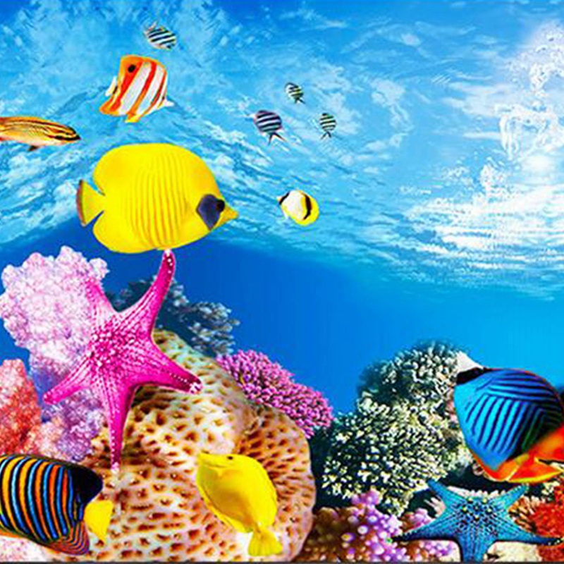 BAAU аквариум фон бумага HD ка – обзор и цена Fish In Aquarium Picture