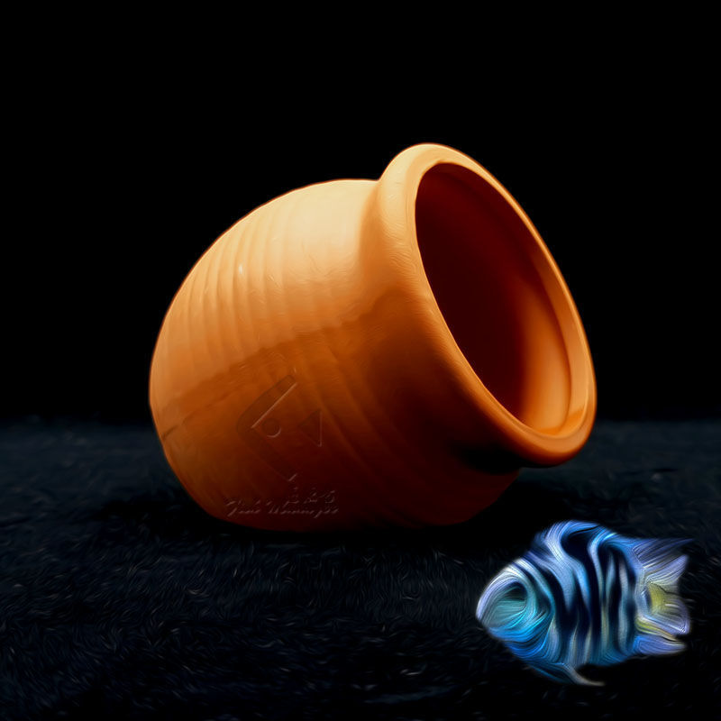 Мини-домик для рыбы в аквариум – обзор и цена Aquarium Fish Hide