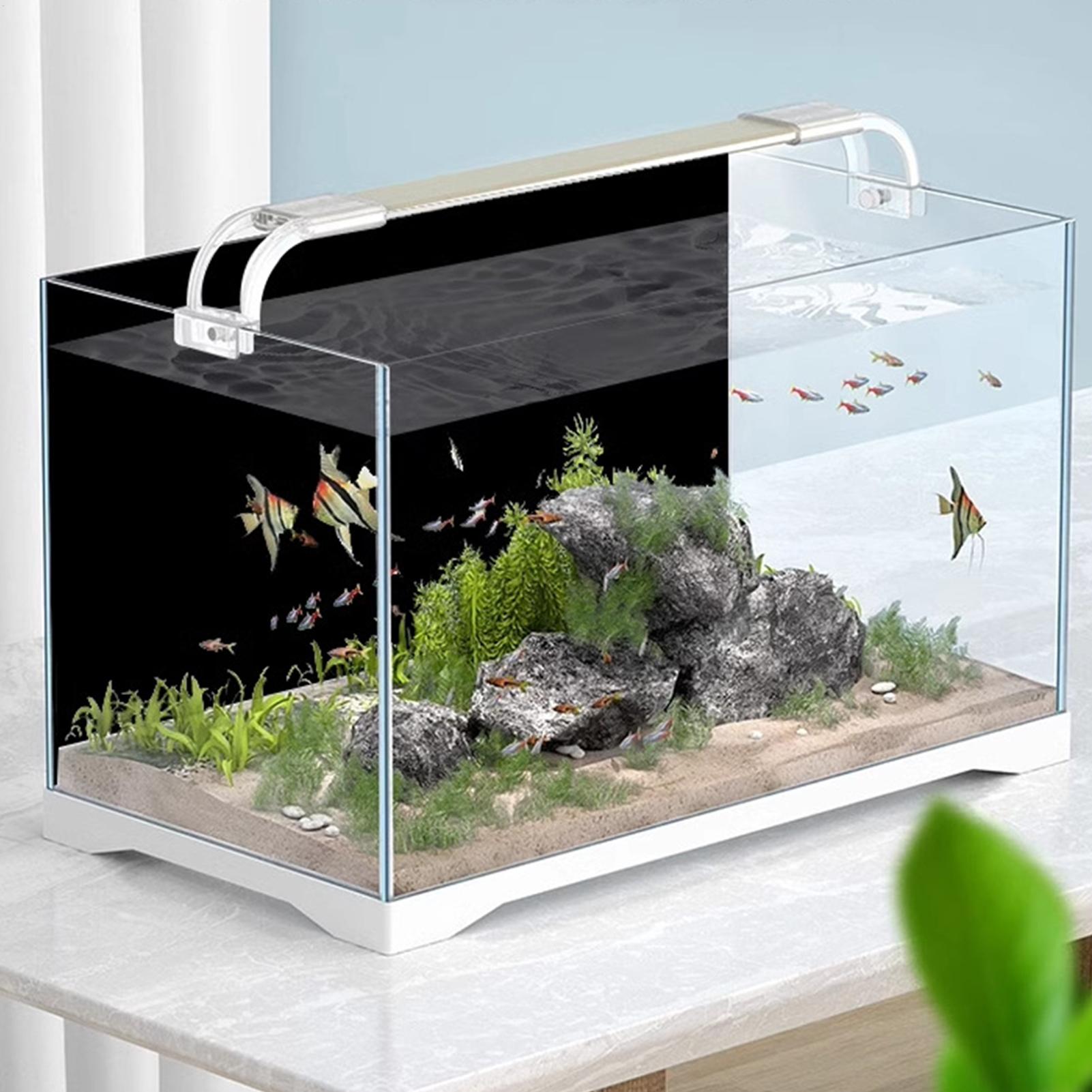Черный фон для аквариума, обои – обзор и цена Fish In Aquarium Picture