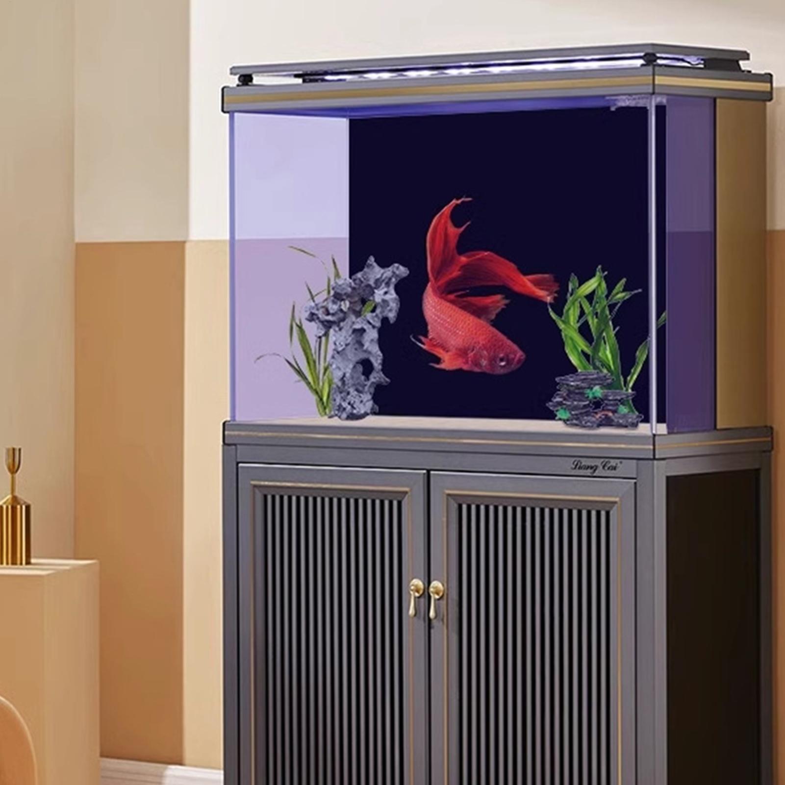Черный фон для аквариума, обои – обзор и цена Fish In Aquarium Picture
