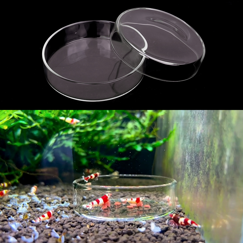 Блюдо для кормления креветок,  – обзор и цена Aquarium Fish Feeder