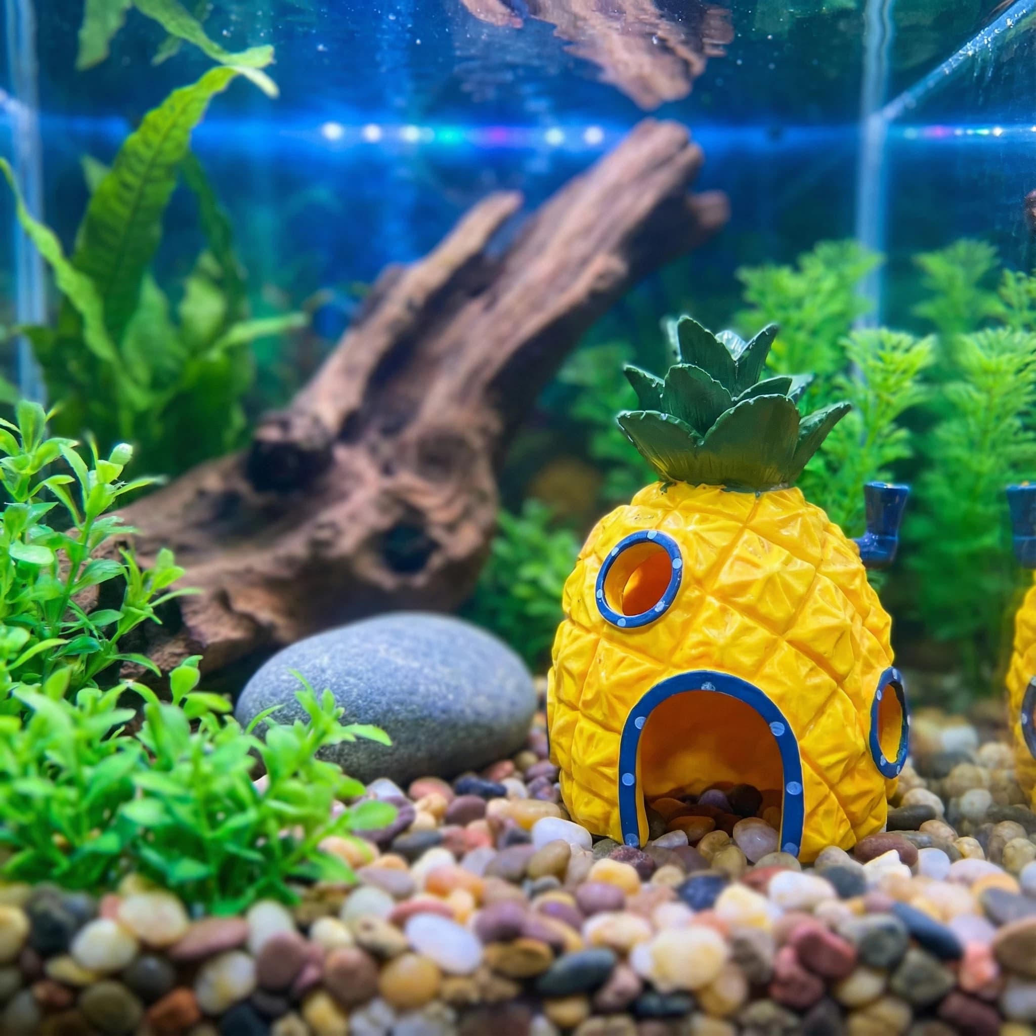 Декор для аквариума «Ананасовы – обзор и цена Aquarium Fish Hide