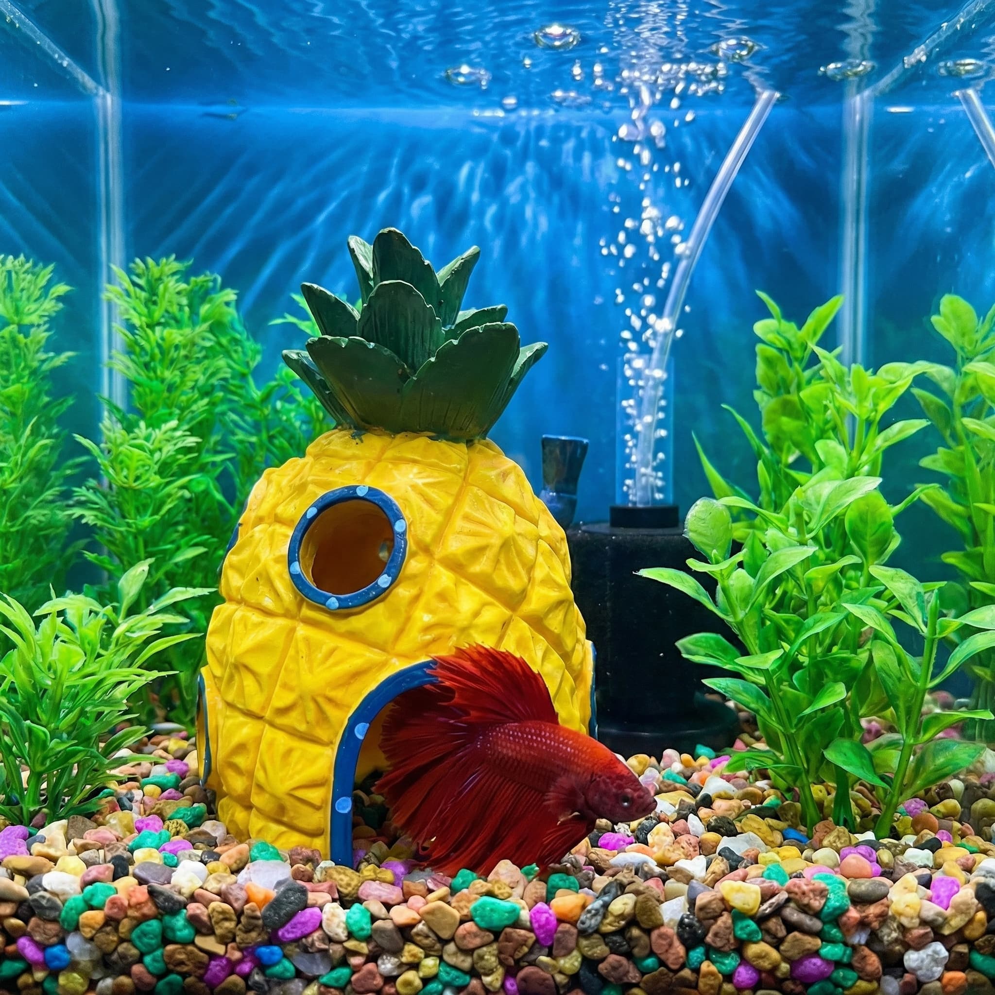 Декор для аквариума «Ананасовы – обзор и цена Aquarium Fish Hide