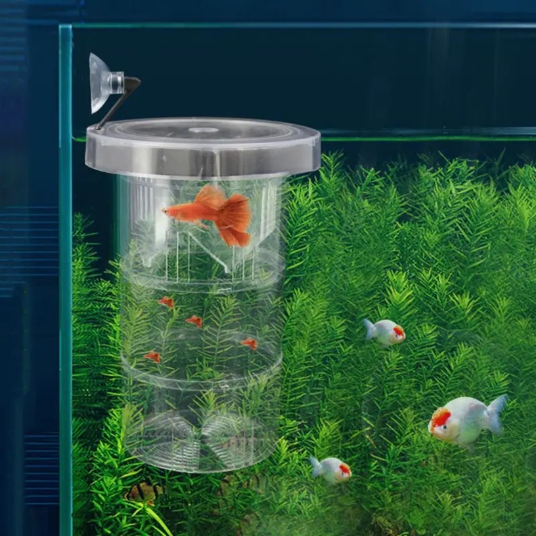 Акриловая плавающая изоляционн – обзор и цена Aquarium Fish Feeder