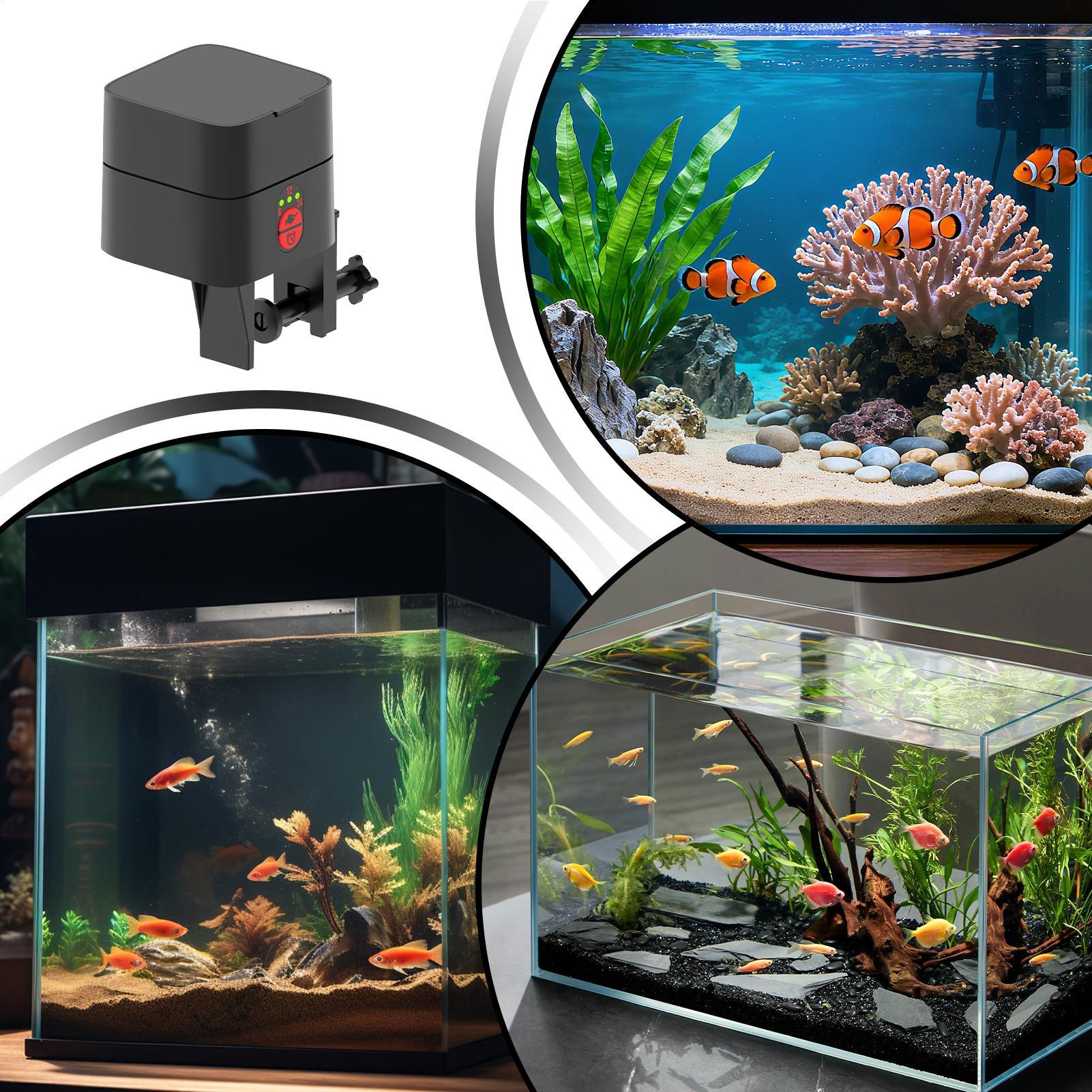 Автоматическая кормушка для ры – обзор и цена Aquarium Fish Feeder