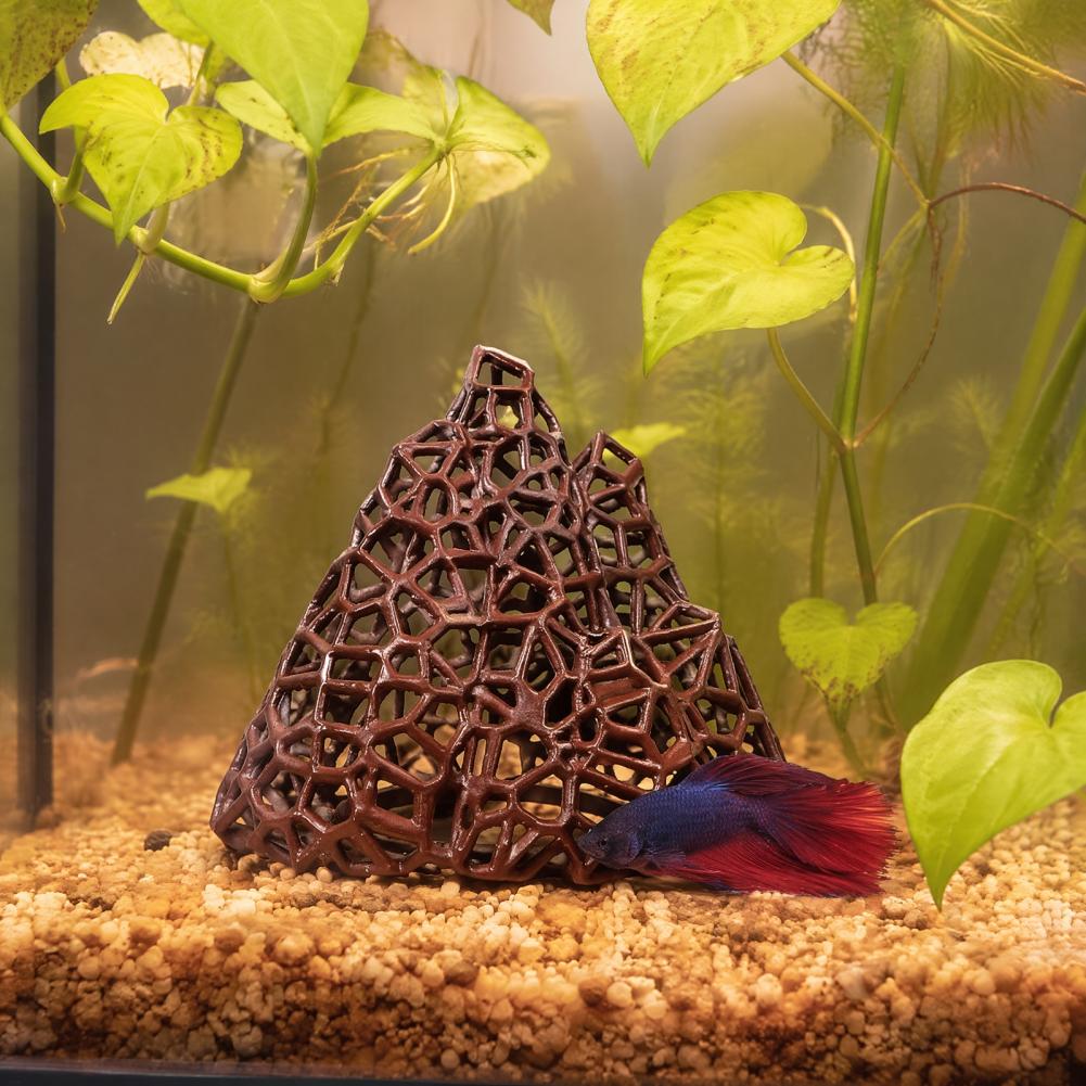 Декорация для аквариума: 3D-пе – обзор и цена Fish In Aquarium Picture