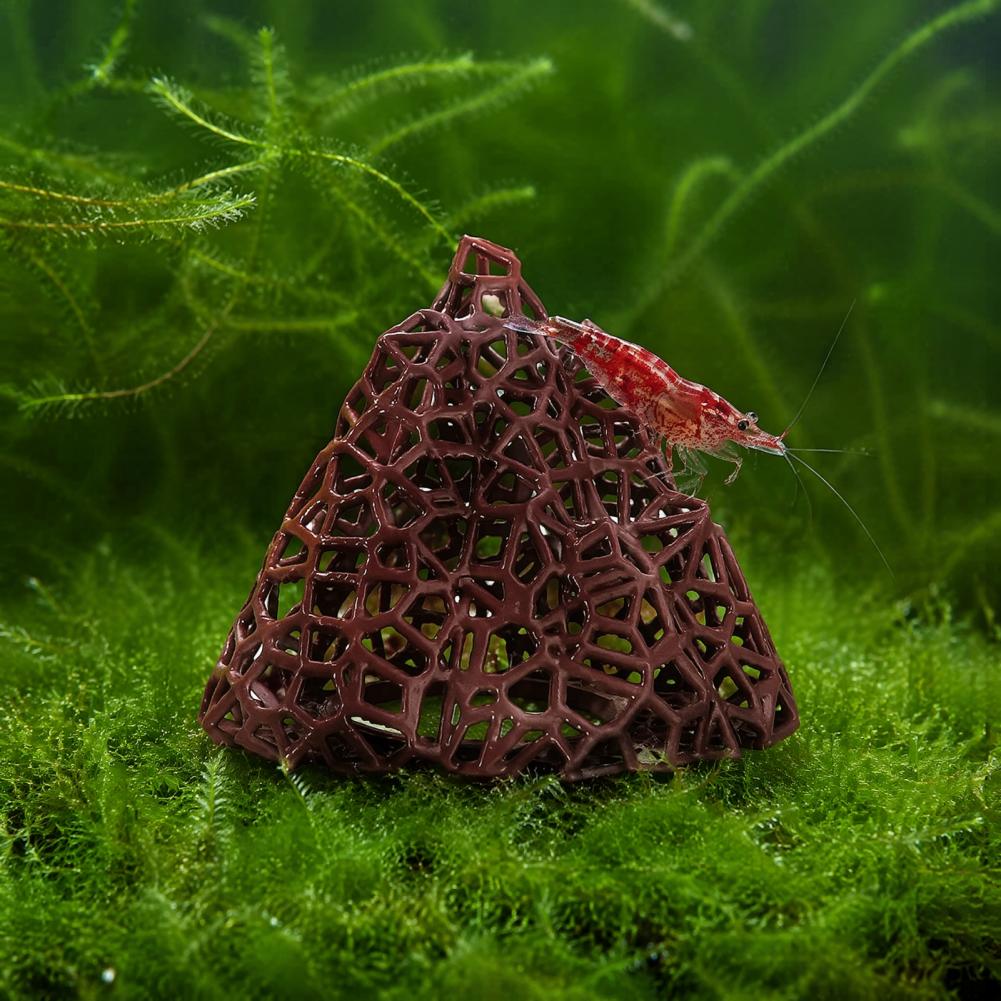 Декорация для аквариума: 3D-пе – обзор и цена Fish In Aquarium Picture