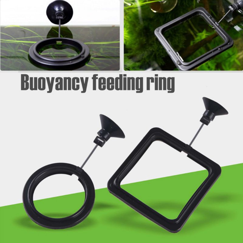 Кольцо-кормушка для аквариумны – обзор и цена Aquarium Fish Feeder