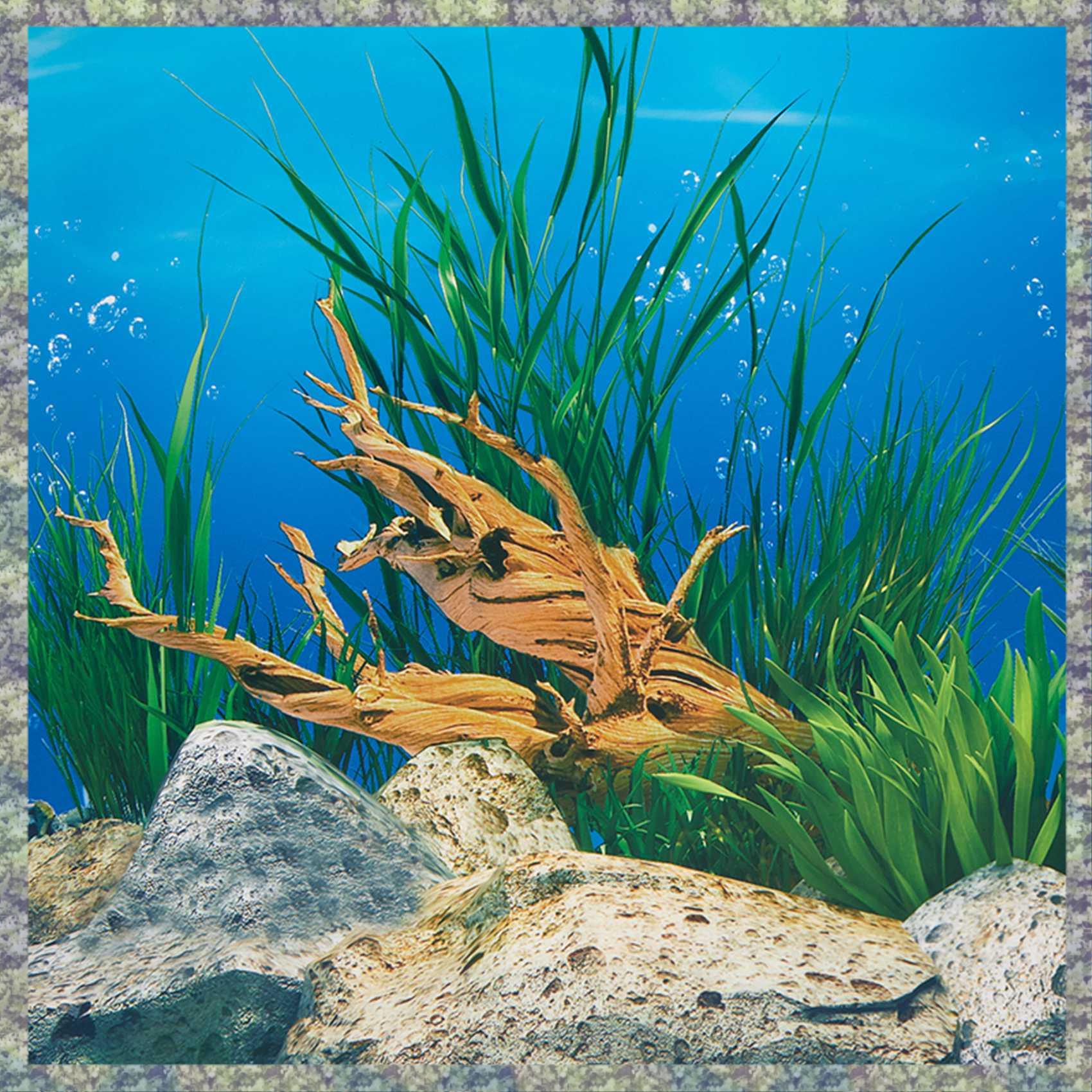 WON фон для аквариума, бумага  – обзор и цена Fish In Aquarium Picture