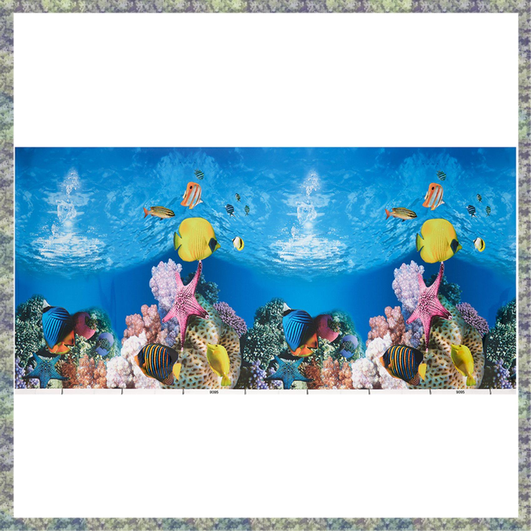 WON фон для аквариума, бумага  – обзор и цена Fish In Aquarium Picture