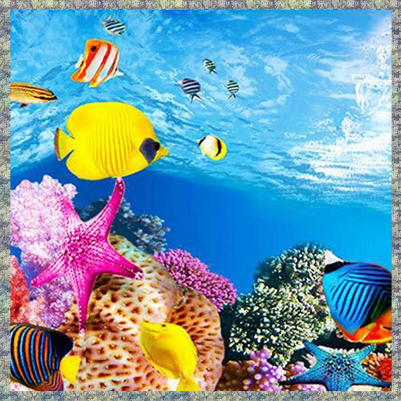 WON фон для аквариума, бумага  – обзор и цена Fish In Aquarium Picture