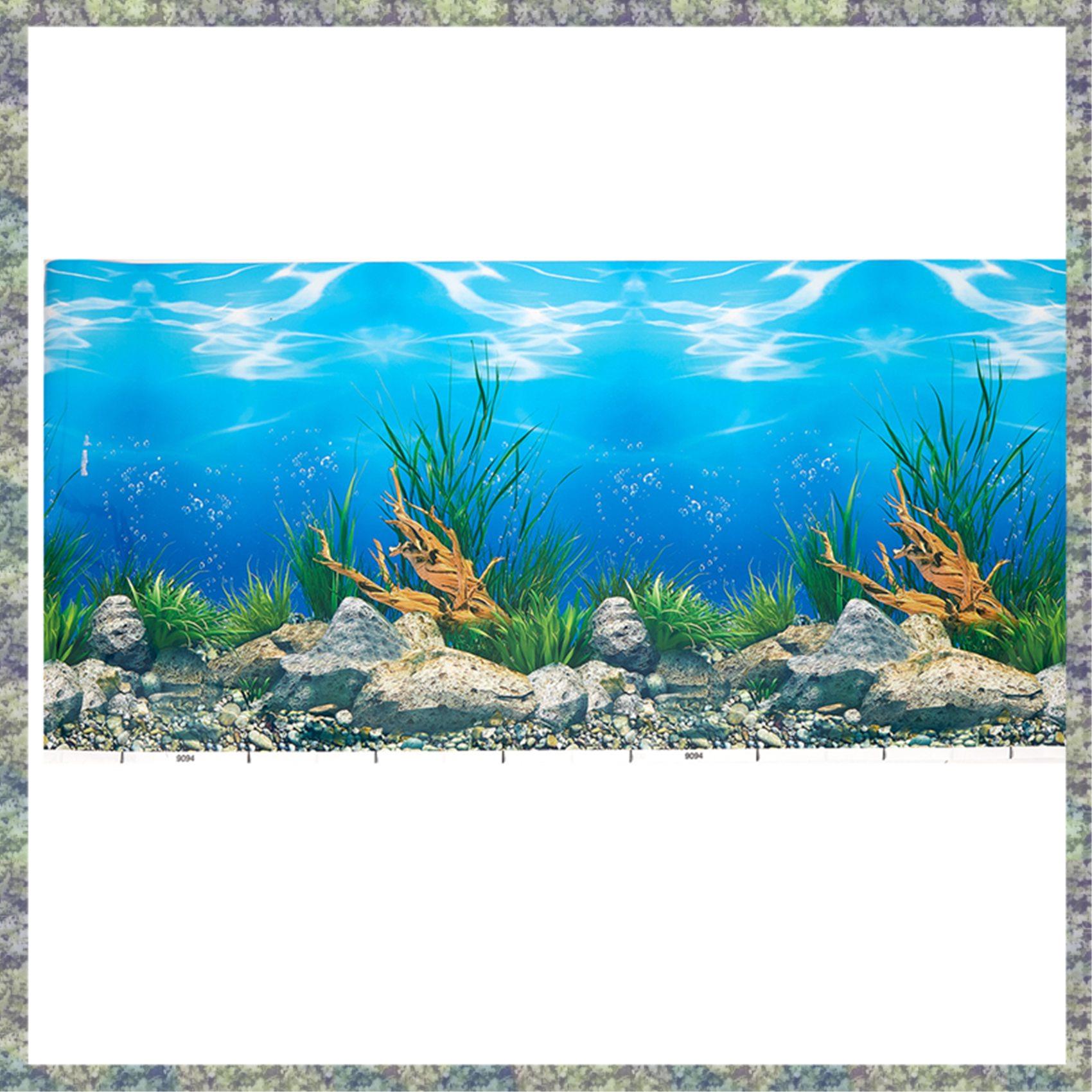 WON фон для аквариума, бумага  – обзор и цена Fish In Aquarium Picture